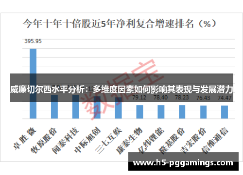 威廉切尔西水平分析：多维度因素如何影响其表现与发展潜力