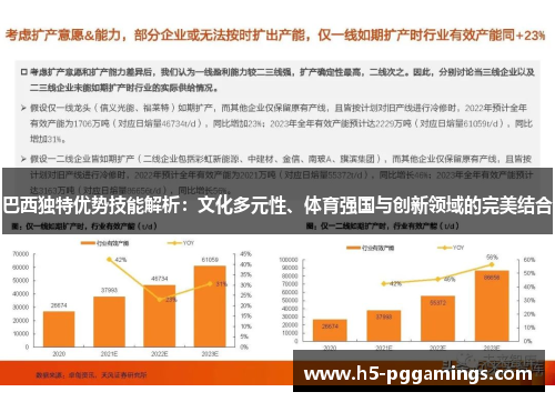 巴西独特优势技能解析：文化多元性、体育强国与创新领域的完美结合