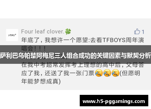 萨利巴乌帕楚阿梅尼三人组合成功的关键因素与默契分析