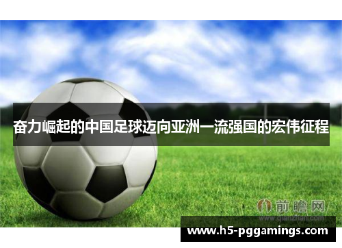 奋力崛起的中国足球迈向亚洲一流强国的宏伟征程