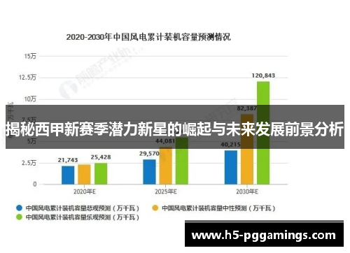 揭秘西甲新赛季潜力新星的崛起与未来发展前景分析